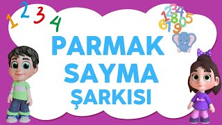 Parmak Sayma Şarkısı  Poll Kids [upl. by Snow207]