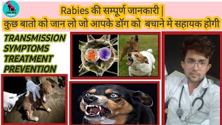 rabies dog disease  causes amp symptoms  treatment  by THE PET VISION [upl. by Sidnee]