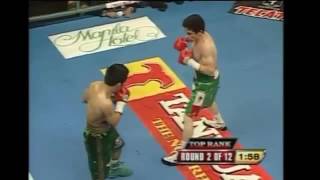 Brian Viloria vs Ulises Solis Full Fight TKO [upl. by Anitsej]