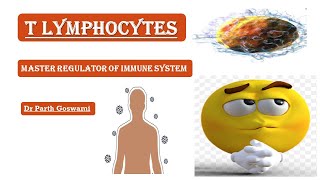 T Lymphocyte  Simplified Detailed Explanation  Images pathologymaster7044 [upl. by Pernell]