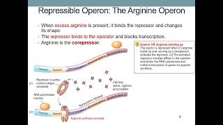 Gene Regulation [upl. by Valene]