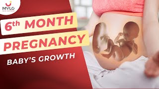 6 Month Baby Growth amp Movements Inside The Womb  Fetal Development In 6 Month Of Pregnancy  Mylo [upl. by Narcho]