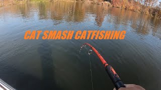 Fall Catfishing with the Lews Cat Smash Combo [upl. by Einahpet]