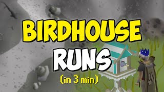 Birdhouse Runs in 3 minutes Quick Guide [upl. by Noillimaxam355]