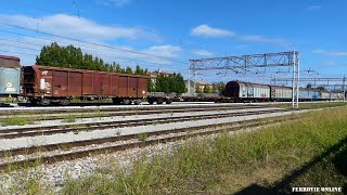 DA CERVIGNANO A CAVA TIGOZZI ALTRI CARRI ALLA DEMOLIZIONE PER MERCITALIA RAIL [upl. by Straus40]