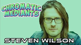 Steven Wilson claims he doesnt know what hes doingYET he writes THIS [upl. by Cavanaugh]