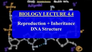 IMAT Biology Lesson 44  Reproduction  Inheritance  DNA Structure [upl. by Chladek]