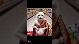 Praganant cat shopping mall stamac pain cat cat lover catkitten [upl. by Dominus209]