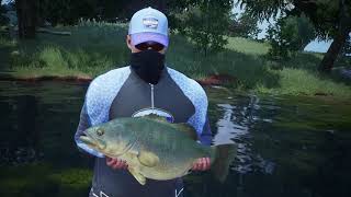 Bassmaster Fishing 2022 Lake Ray Roberts Lake Mastery Pt2 Dropshoting is OP [upl. by Nnylyt]