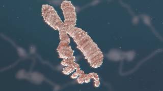 Chromatin Biology Explained [upl. by Vivia]