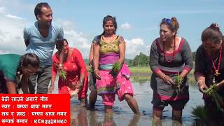 New Asare Song 2075 नयाँ असारे गीत By Pampha Thapa Magar [upl. by Darton]