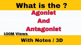 Difference Between Agonist And Antagonist  3D Animation  viral education [upl. by Ardnuasac]