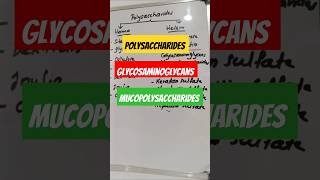 Polysaccharides glycosaminoglycans mucopolysaccharides polysaccharides carbohydratesbiochemistry [upl. by Cid]