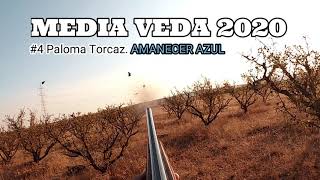 Media Veda 2020 4 PALOMA TORCAZ AMANECER AZUL  🍗COCINA🍗 [upl. by Allekram409]