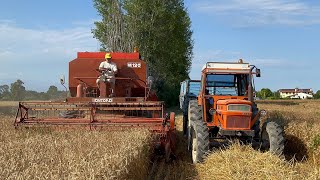 TREBBIATURA FRUMENTO  GRANO 2023 con LAVERDA M120 [upl. by Asehr287]