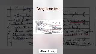 Coagulase test microbiologybiochemical testmltytshorts shortvideomicrobiologyviralshorts [upl. by Naesad]