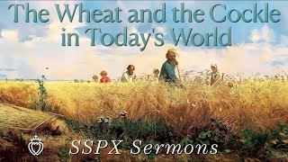 The Wheat and the Cockle in Todays World  SSPX Sermons [upl. by Eimmit861]