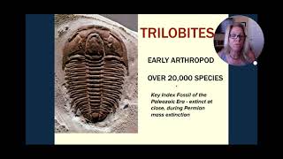 APBio Ch 18 Part 2 Origin amp History of Life [upl. by Aryt]