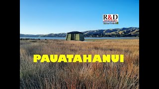 Pauatahanui  Porirua area  Battle Hill Farm  Scenes of New Zealand [upl. by Ym]