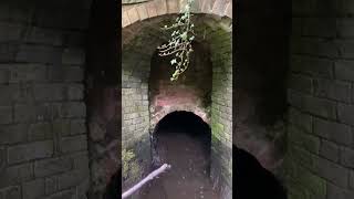 The Worsley Brook New explore this Sunday abandoned urbex salford manchester history [upl. by Nyram]