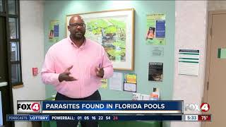 Parasites found in Florida pools [upl. by Yesteb]