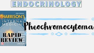 PHEOCHROMOCYTOMA  Rule of 10s  Clinical Features  Diagnosis  Management  Rapid Review [upl. by Jammie]