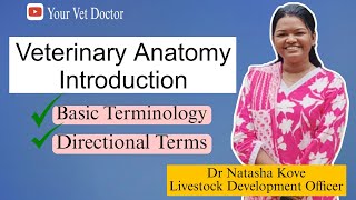 Veterinary Anatomy Introduction  Introduction terminology Veterinary anatomy [upl. by Eliseo394]