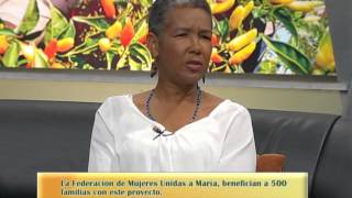 Ojalá La Federacion de Mujeres a Maria Benefician a 500 Familias con este Proyecto 5 Mayo 2015 [upl. by Lirva]