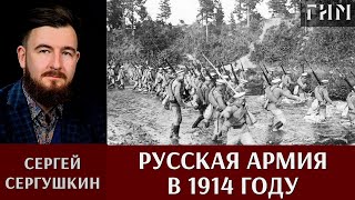 Сергей Сергушкин Русская армия в 1914 году [upl. by Espy]