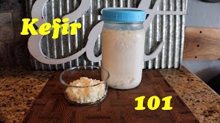 Kefir for Beginners [upl. by Nylecaj83]