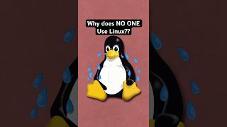 Why does NO ONE use Linux [upl. by Ayocal439]