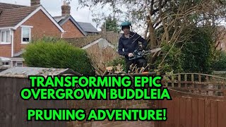 Transforming Epic Overgrown Buddleia Pruning Adventure A Day In The Life Of A UK Gardener EP21 [upl. by Ellen]