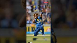 Top yorkers cricket yorkers cricketlover cricketnews shorts short youtubeshorts youtube yt [upl. by Airliah]