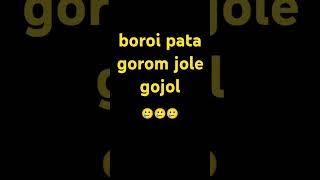 boroi pata gorom jole gojol  shortsvideo amarbarirajshahi shorts [upl. by Lonergan]