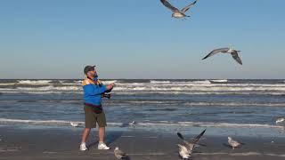 Kunstwerke aus den Urlaubsfotos 2 Beachfotografie [upl. by Ahtikal]