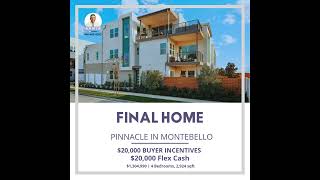 Final Pinnacle Home for Sale Montebello Lennar Homes [upl. by Chesney]