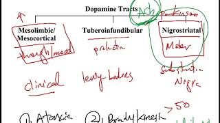 USMLE ACE Video 202 Dopamine Pathways Synthesis and Pharmacological Agents [upl. by Garvey163]