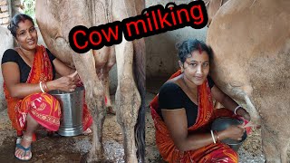 Dui athute chap diya gai r dud duachi kalyanivlogs5548 cow milking cow wash [upl. by Paulson]