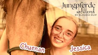 Jungpferdeausbildung 🐴 unfiltered  Vom wilden Jungpferd zum Verlasspferd [upl. by Asirap423]