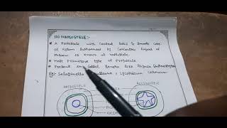 STELAR EVOLUTION IN PTERIDOPHYTES FOR BSC [upl. by Airdnekal816]