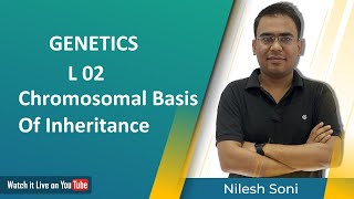 Chromosomal Basis Of Inheritance  GENETICS  CSIR NET Life Science [upl. by Hajed]