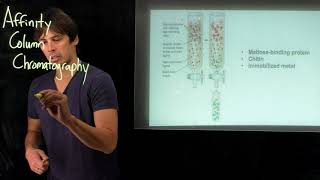 Topic 410  Affinity chromatography [upl. by Eelidnarb]