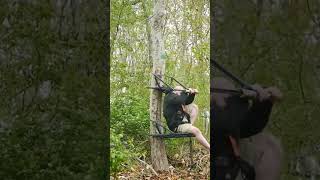 Climbing tree stand demo hunting [upl. by Phillane52]