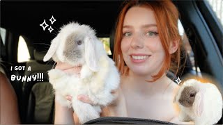 GETTING MY DREAM PET first 72 hours with baby mini lop bunny [upl. by Jedd873]