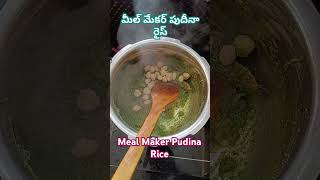 Meal Maker Pudina Rice  Yummy kitchen 71 [upl. by Viviene]