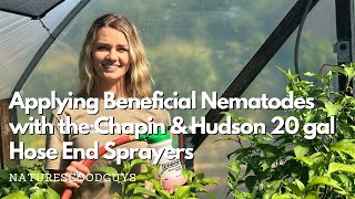 How to apply beneficial nematodes with a hose end sprayer — Chapin and Hudson 20 gallon sprayers [upl. by Dani]