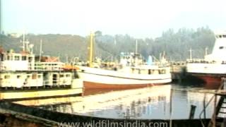 Andaman and Nicobar Islands by ship [upl. by Nakhsa]