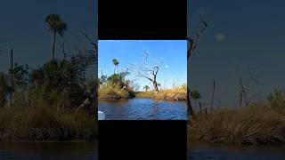 Driftwood Dreams 02Creepy Creek driftwood river boat creek [upl. by Eecart458]