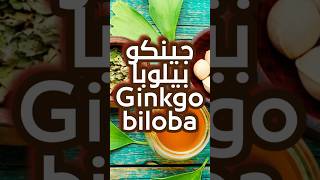 سر جينكوبيلوبا Ginkgo Biloba [upl. by Grobe]