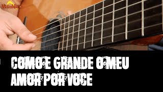 Como é grande o meu amor por você  Cifra Simplificada  Violão Iniciante [upl. by Mariam]